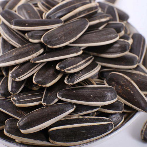 生瓜子與葵花籽 五香、焦糖、原味的多樣風味選擇