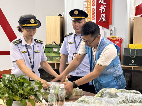 廣西龍勝“你點我檢” 科技賦能校園餐飲管理，守護學生舌尖安全