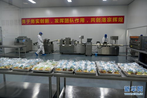 西藏洛隆 以青稞深加工技術開發，鋪就高原特色產業增收路