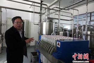 科技賦能，青稞煥新 西藏以創新技術驅動特色產業多元化發展